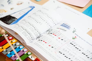 mk体育官方网站-中小学体育教师继续教育体系建设与实施研究，小学体育继续教育考试试题及答案