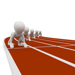 体育mk-中小学体育教师职业成长路径研究，中小学体育教师现状